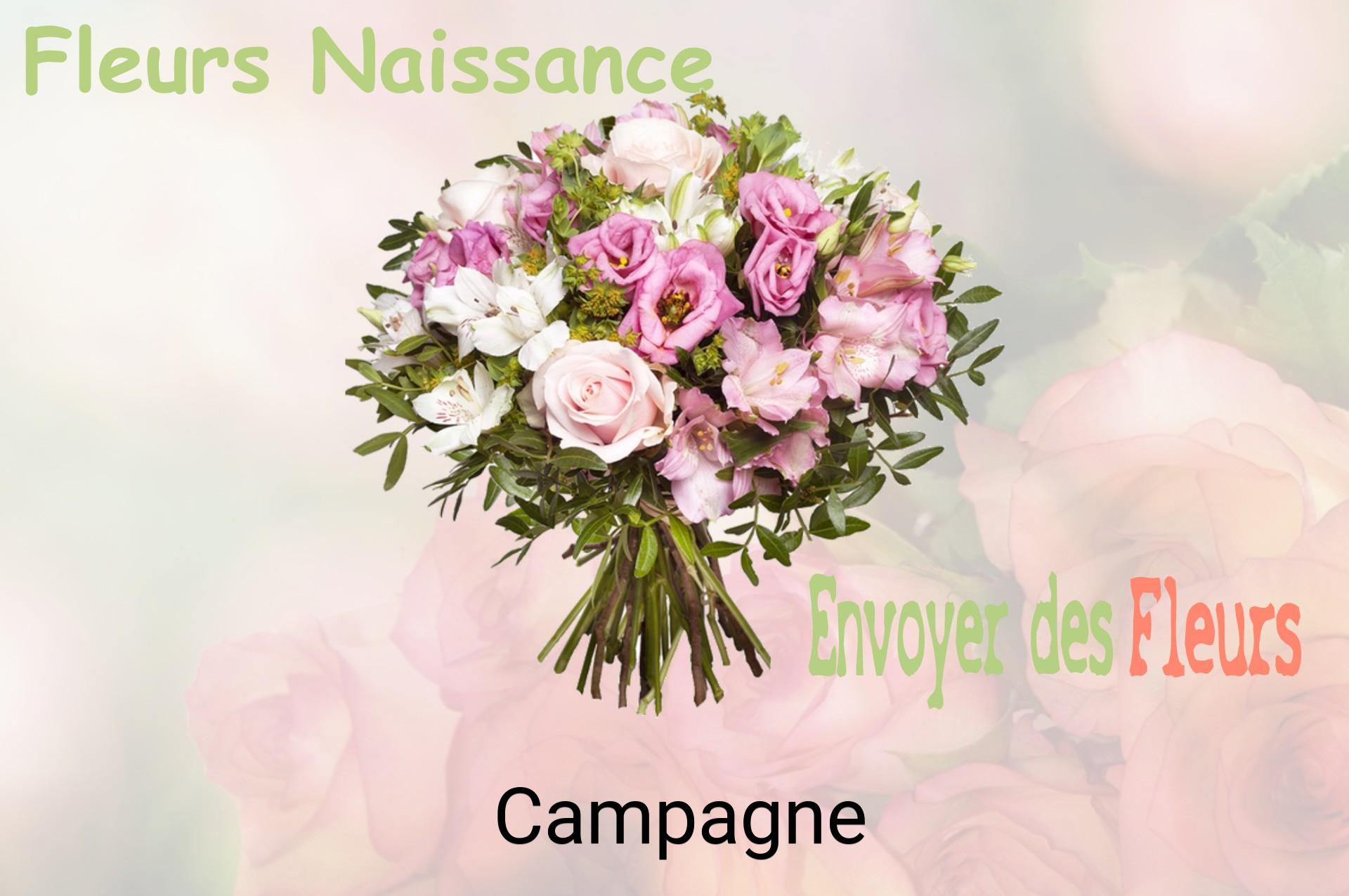 Bouquet de fleurs de naissance livré à Campagne